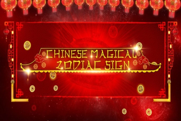 04862 chinese magical zodiac sign