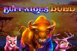 07546 buffaloes duel